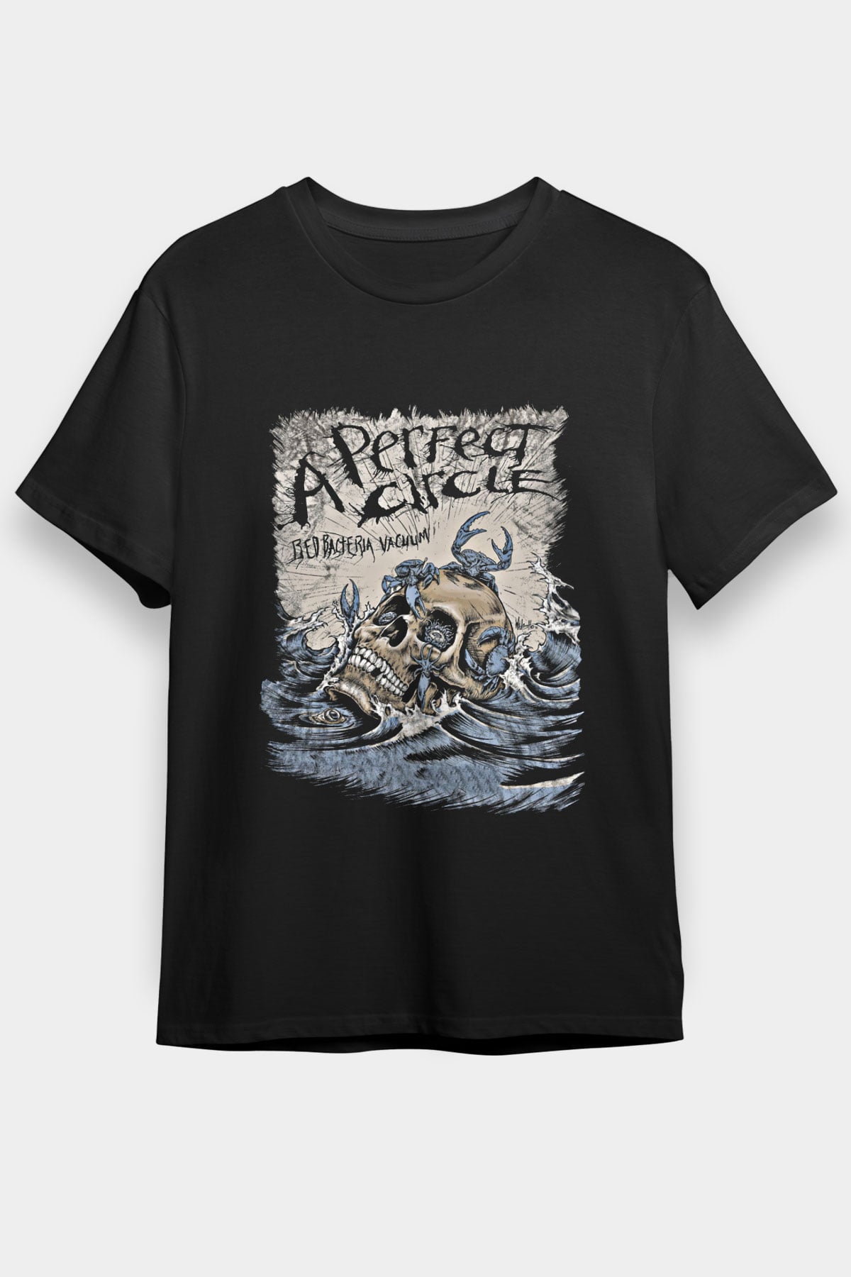 A Perfect Circle Baskılı Unisex Siyah Tişört
