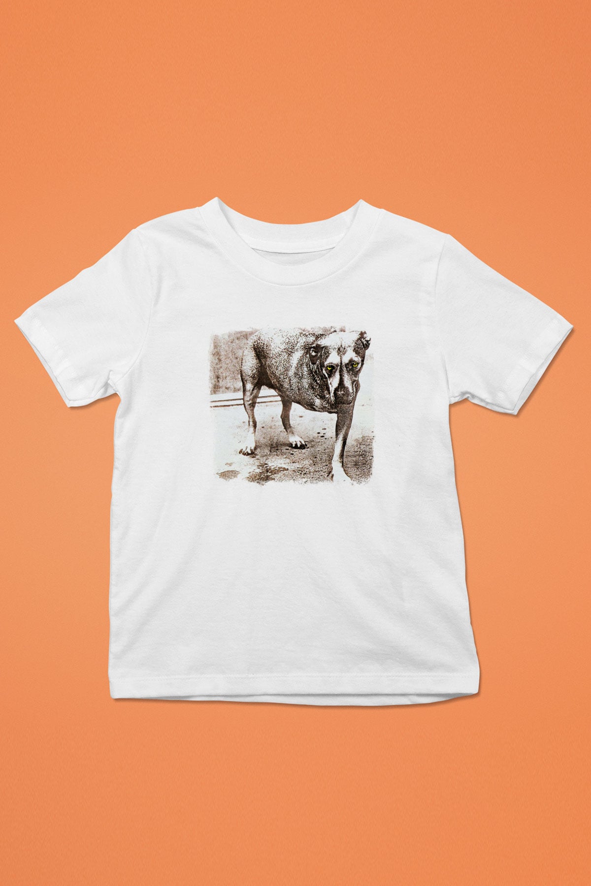 Alice in Chains Baskılı Unisex Beyaz Çocuk Tişört
