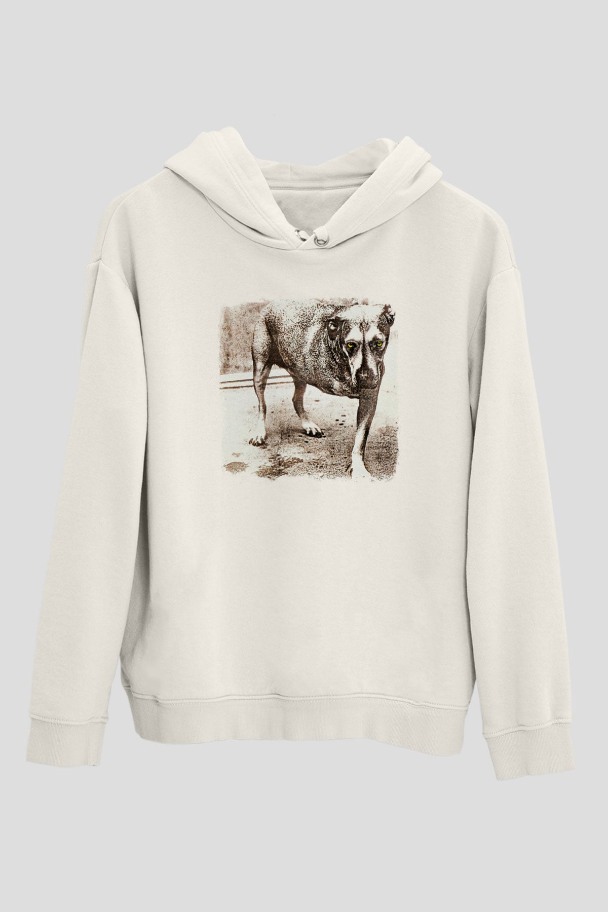 Alice in Chains Baskılı Unisex Beyaz Hoodie