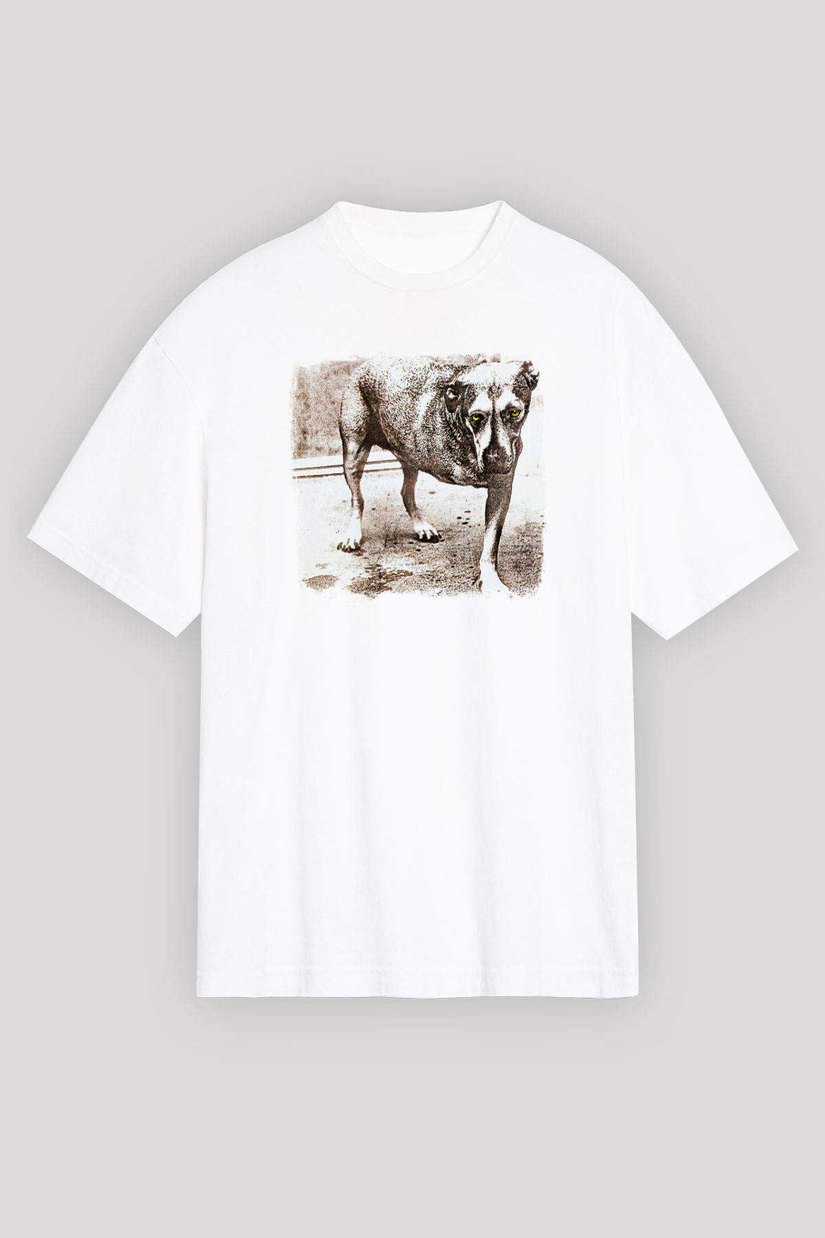 Alice in Chains Baskılı Unisex Beyaz Oversize Tişört