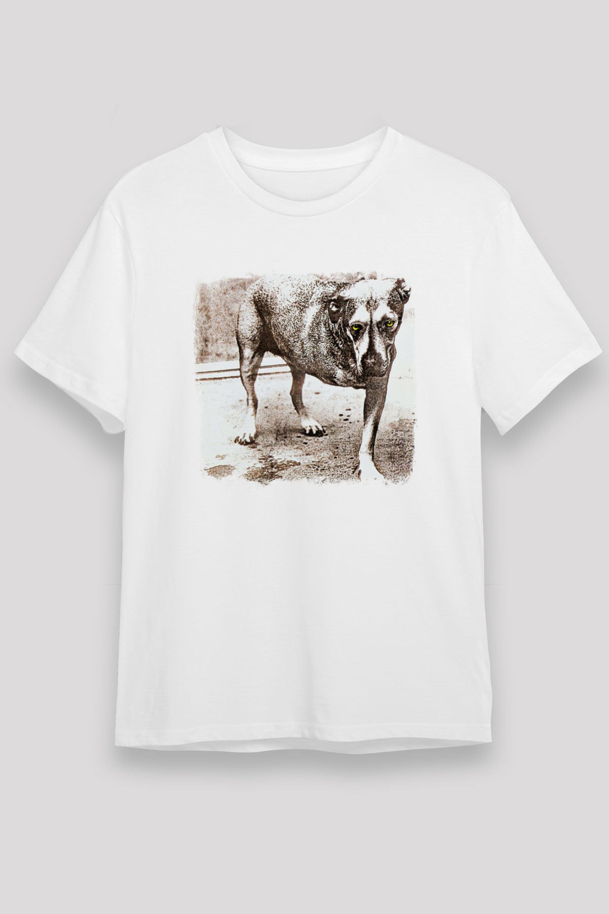 Alice in Chains Baskılı Unisex Beyaz Tişört