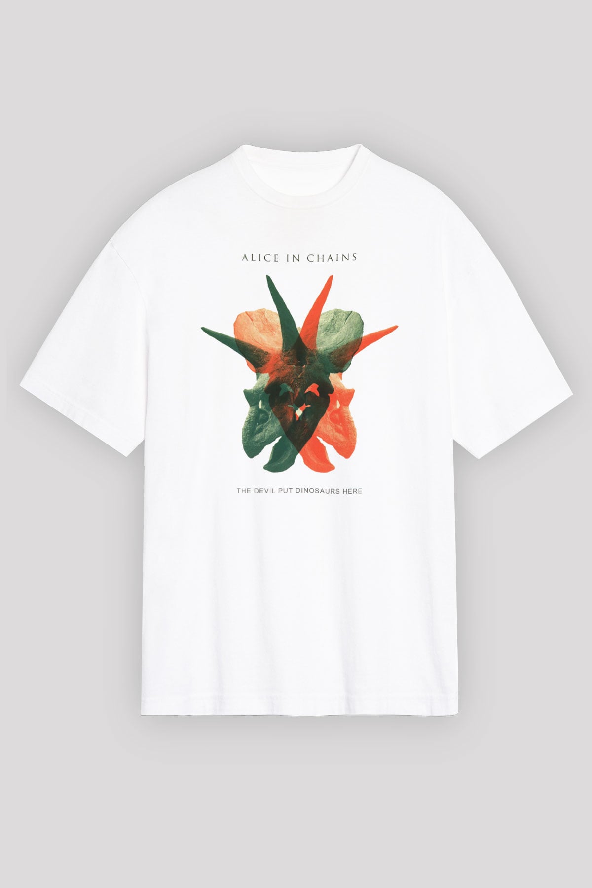 Alice in Chains Beyaz Unisex Oversize Tişört T-Shirt