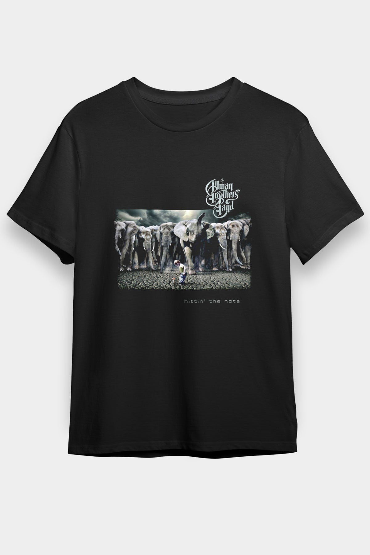 Allman Brothers Band Baskılı Unisex Siyah Tişört