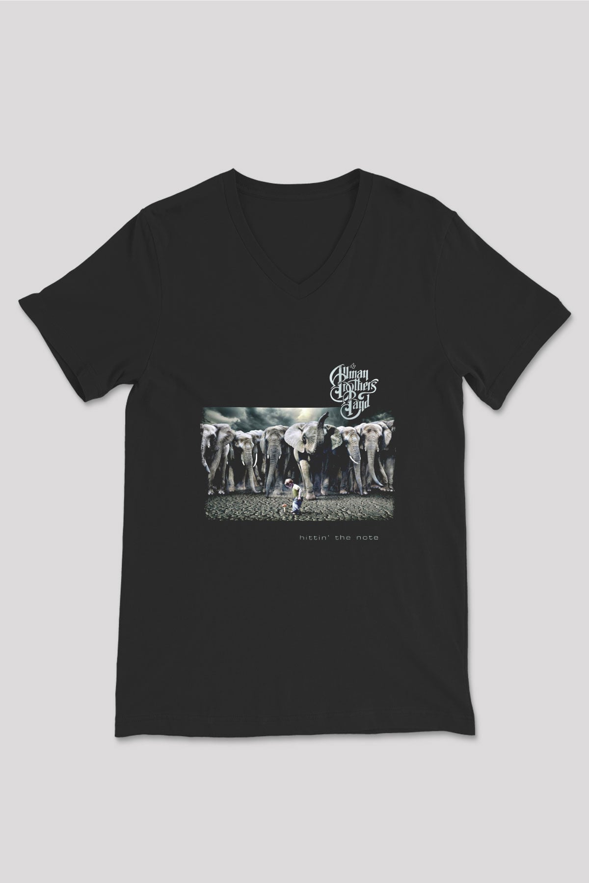 Allman Brothers Band Baskılı Unisex Siyah V Yaka Tişört