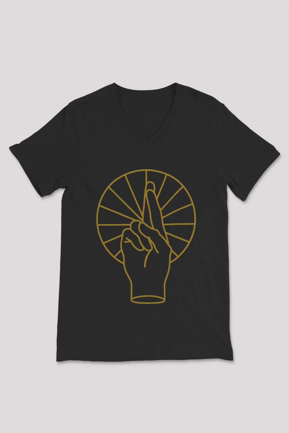 Anberlin Siyah Unisex V Yaka Tişört