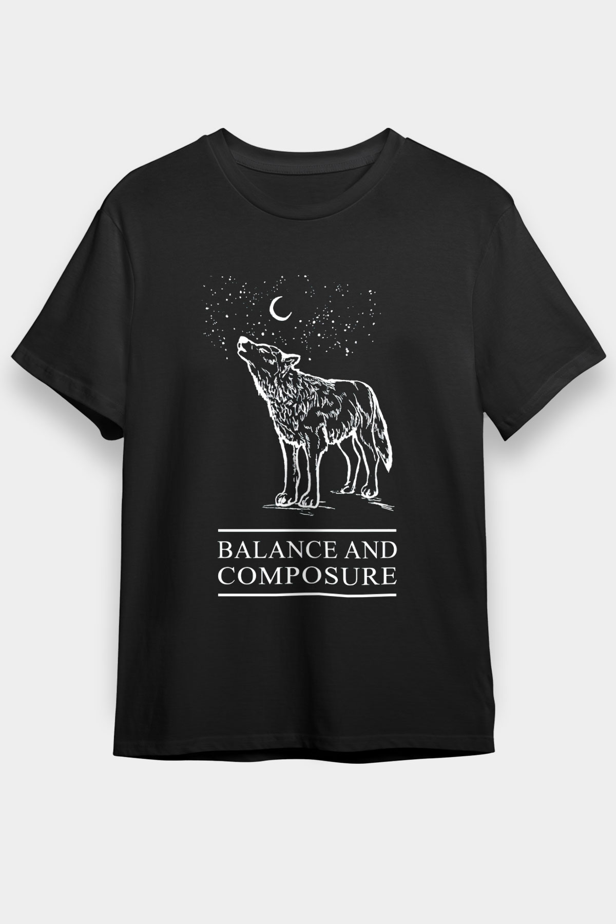 Balance and Composure Siyah Unisex Tişört T-Shirt - TişörtFabrikası