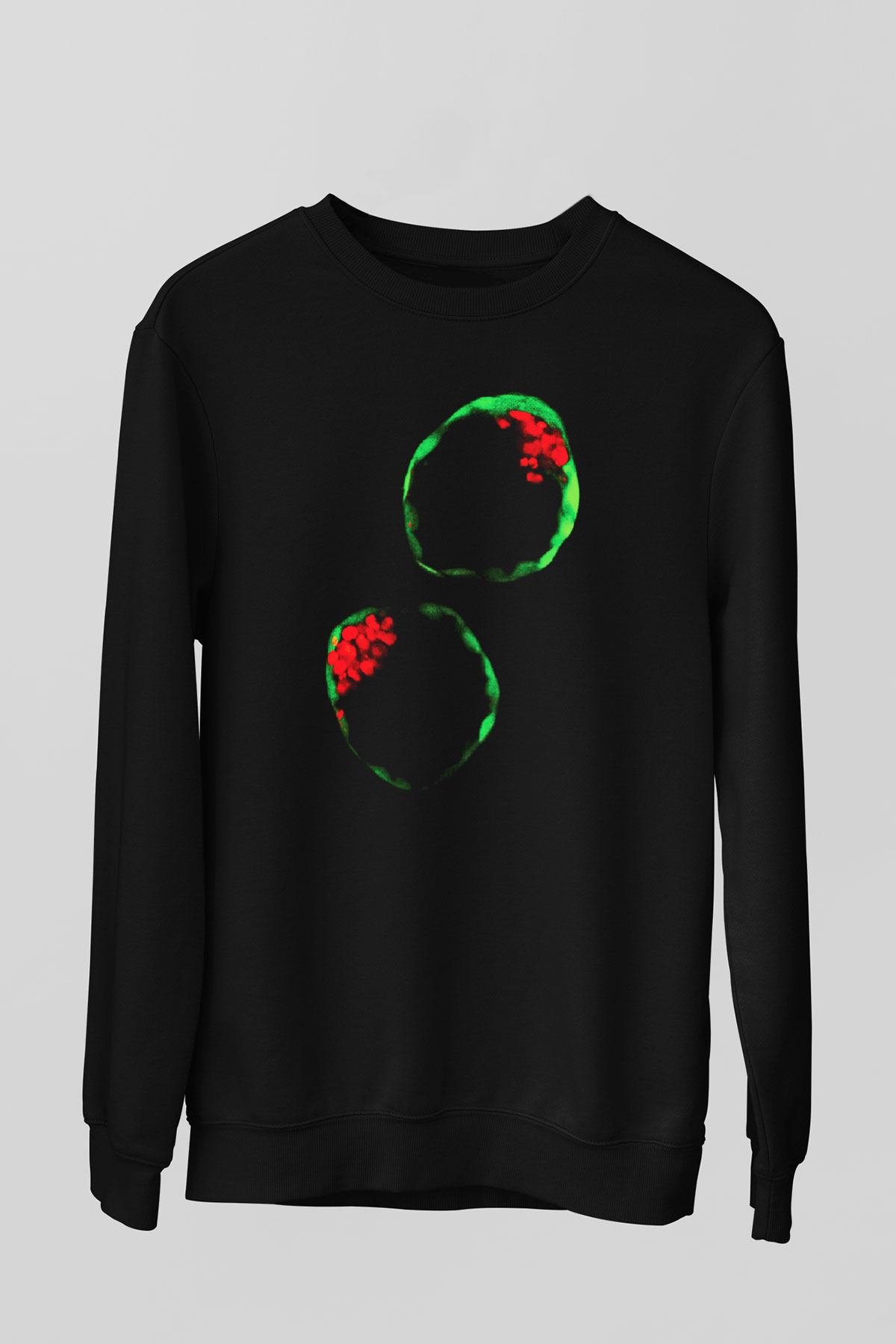 Embriyolog Siyah Unisex Sweatshirt