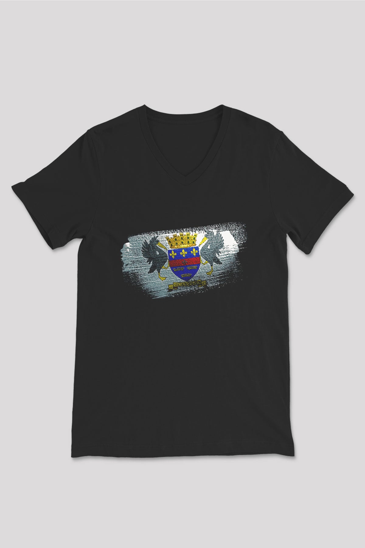 Saint Barthelemy Bayrağı Baskılı Unisex Siyah V Yaka Tişört