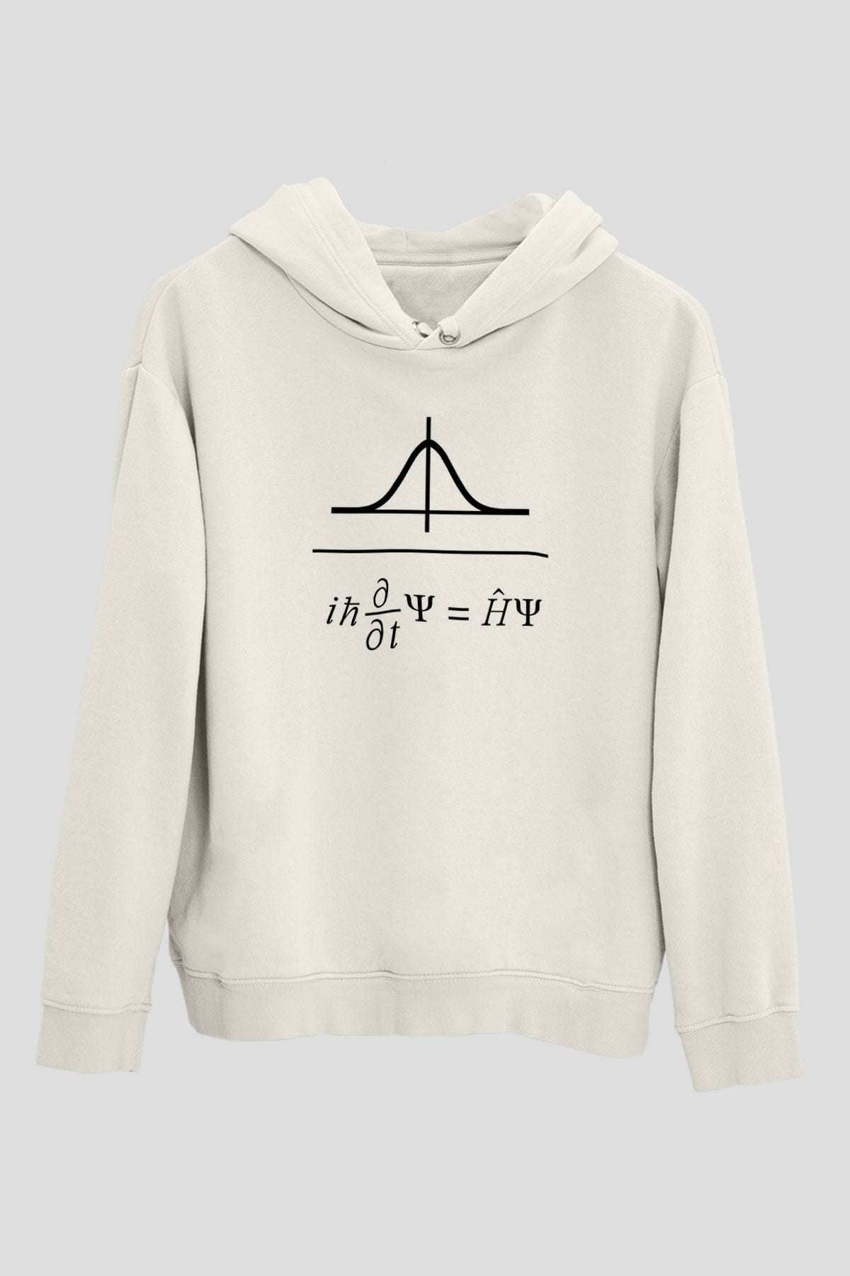 Schrödinger Dalga Denklemi Baskılı Unisex Ekru Hoodie