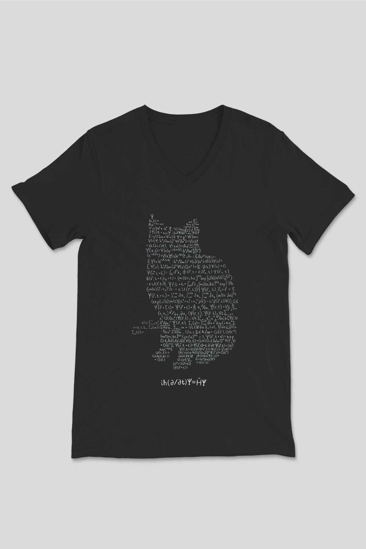 Schrödinger Dalga Denklemi Kedi Baskılı Unisex Siyah V Yaka Tişört