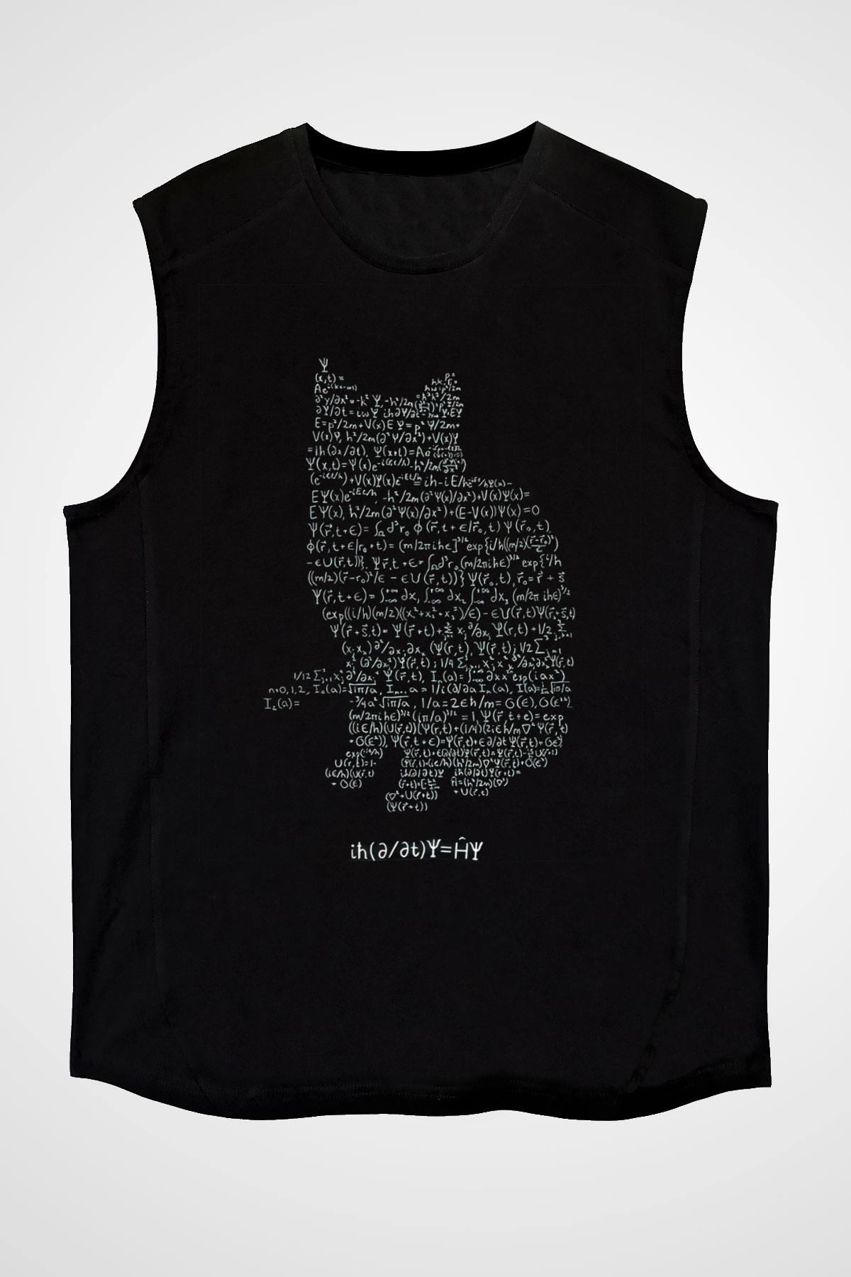 Schrödinger Dalga Denklemi Kedi Baskılı Unisex Siyah Kolsuz Tişört