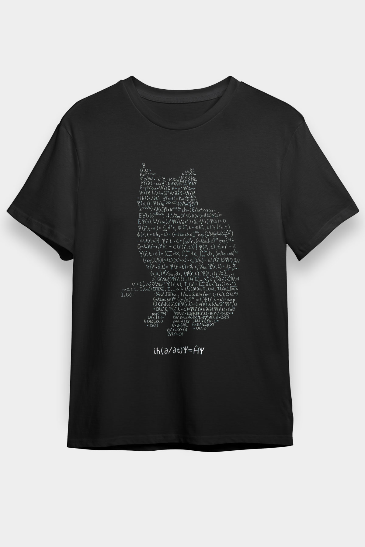Schrödinger Dalga Denklemi Kedi Baskılı Unisex Siyah Tişört