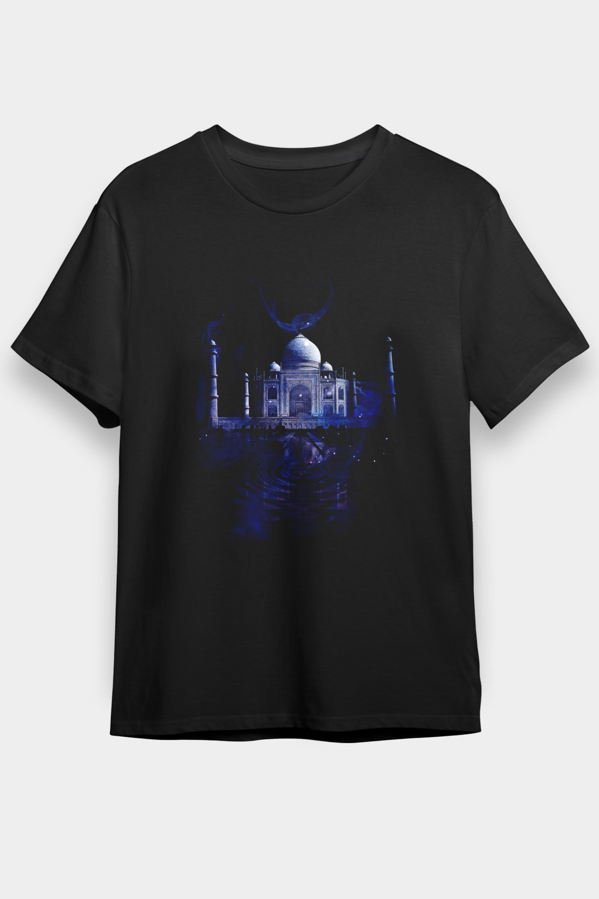 Tac Mahal Siyah Unisex Tişört T-Shirt - TişörtFabrikası