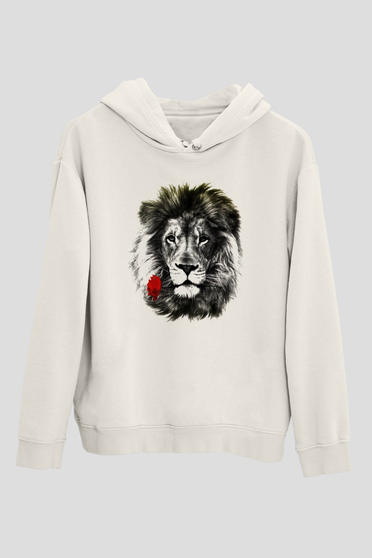 Tasarım Kapşonlu Sweatshirt TSR107