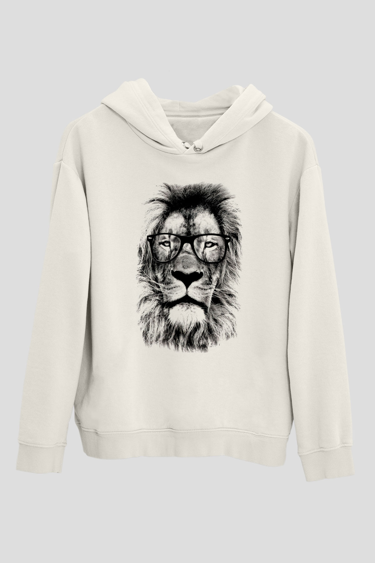 Tasarım Kapşonlu Sweatshirt TSR123