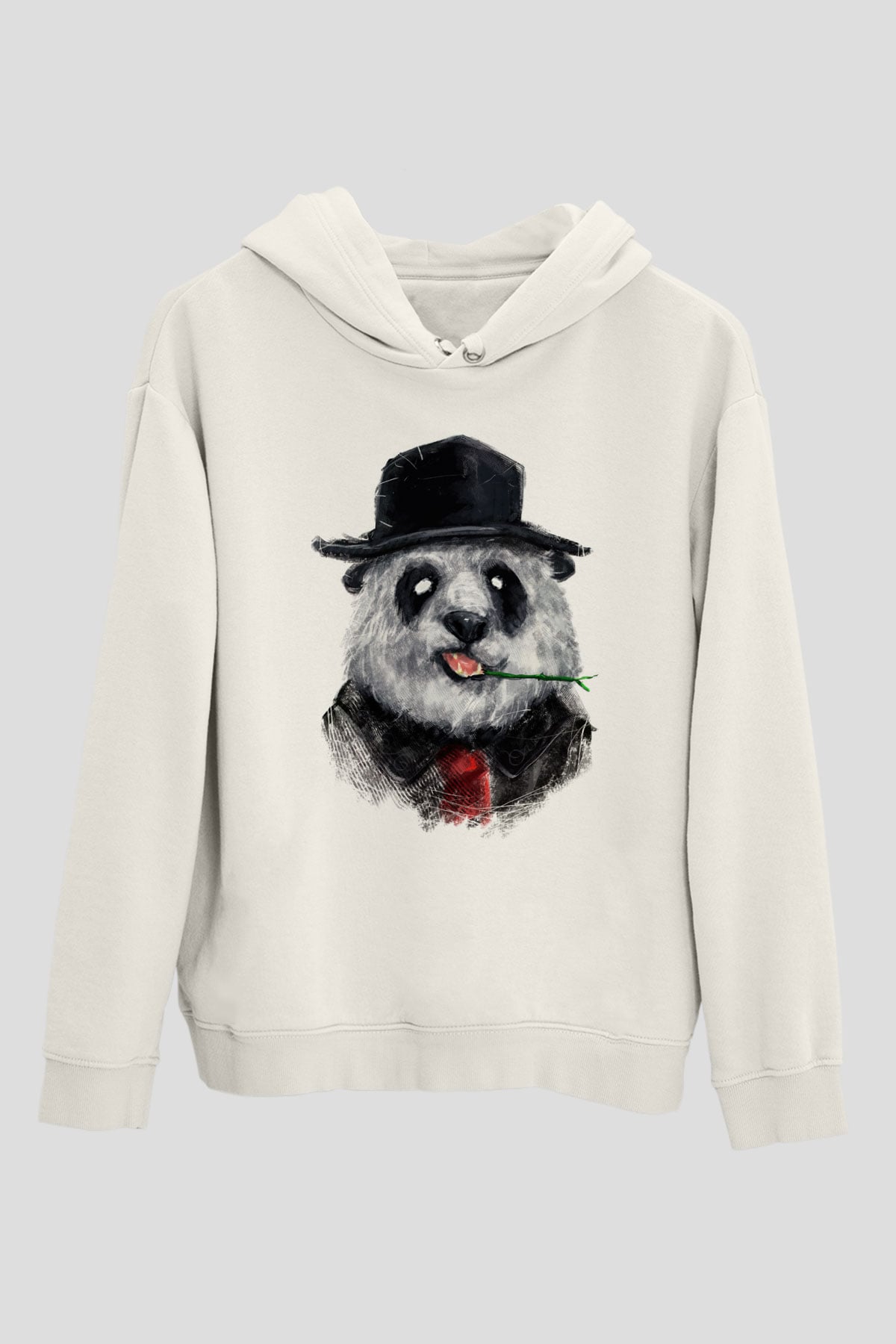 Tasarım Kapşonlu Sweatshirt TSR217
