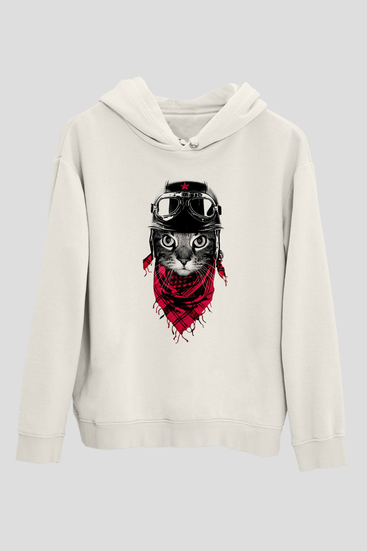 Tasarım Kapşonlu Sweatshirt TSR293