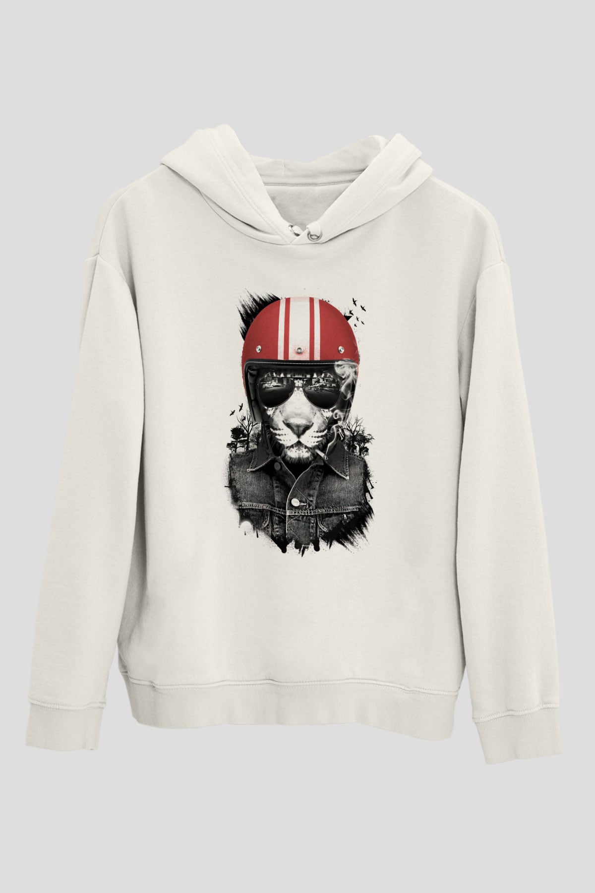 Tasarım Kapşonlu Sweatshirt TSR77