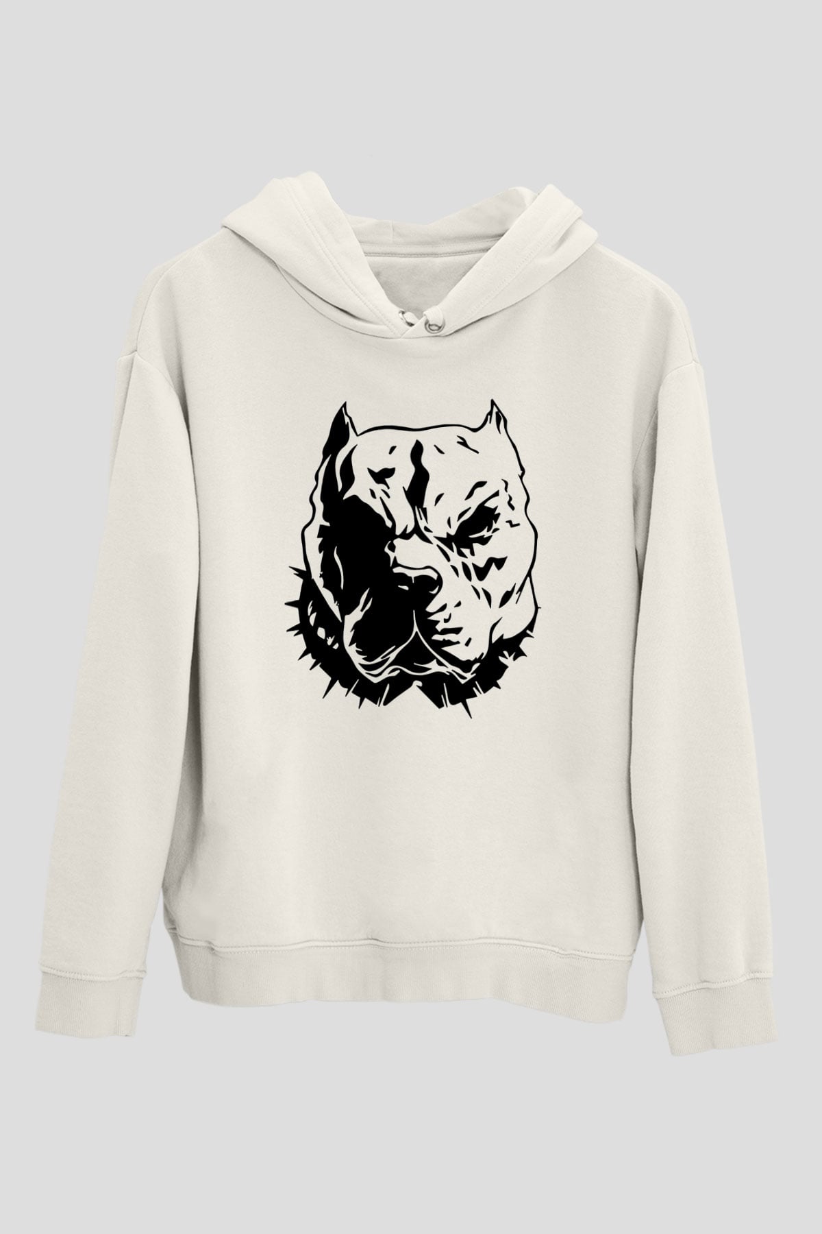Tasarım Kapşonlu Sweatshirt TSR82
