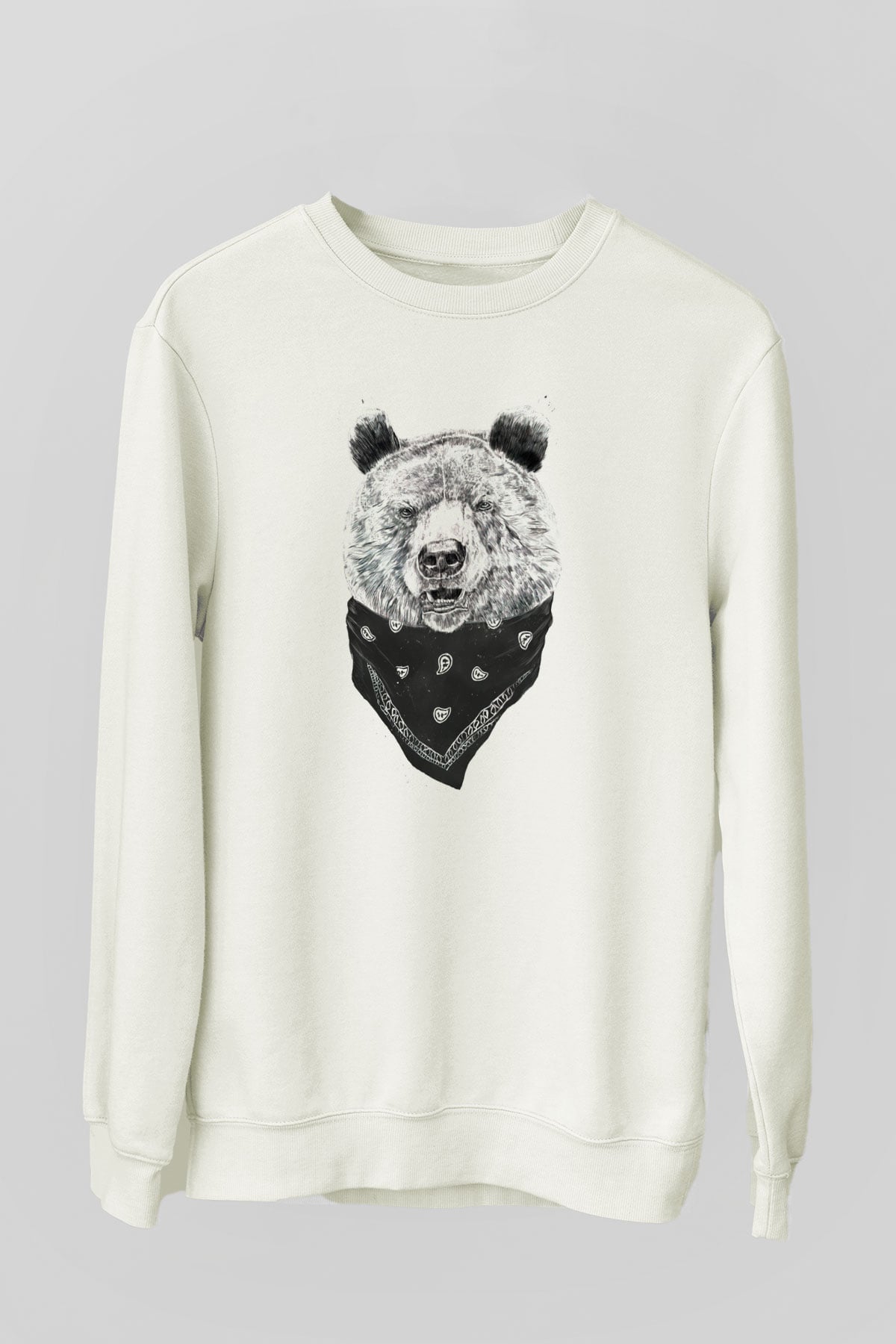 Tasarım Sweatshirt TSR236