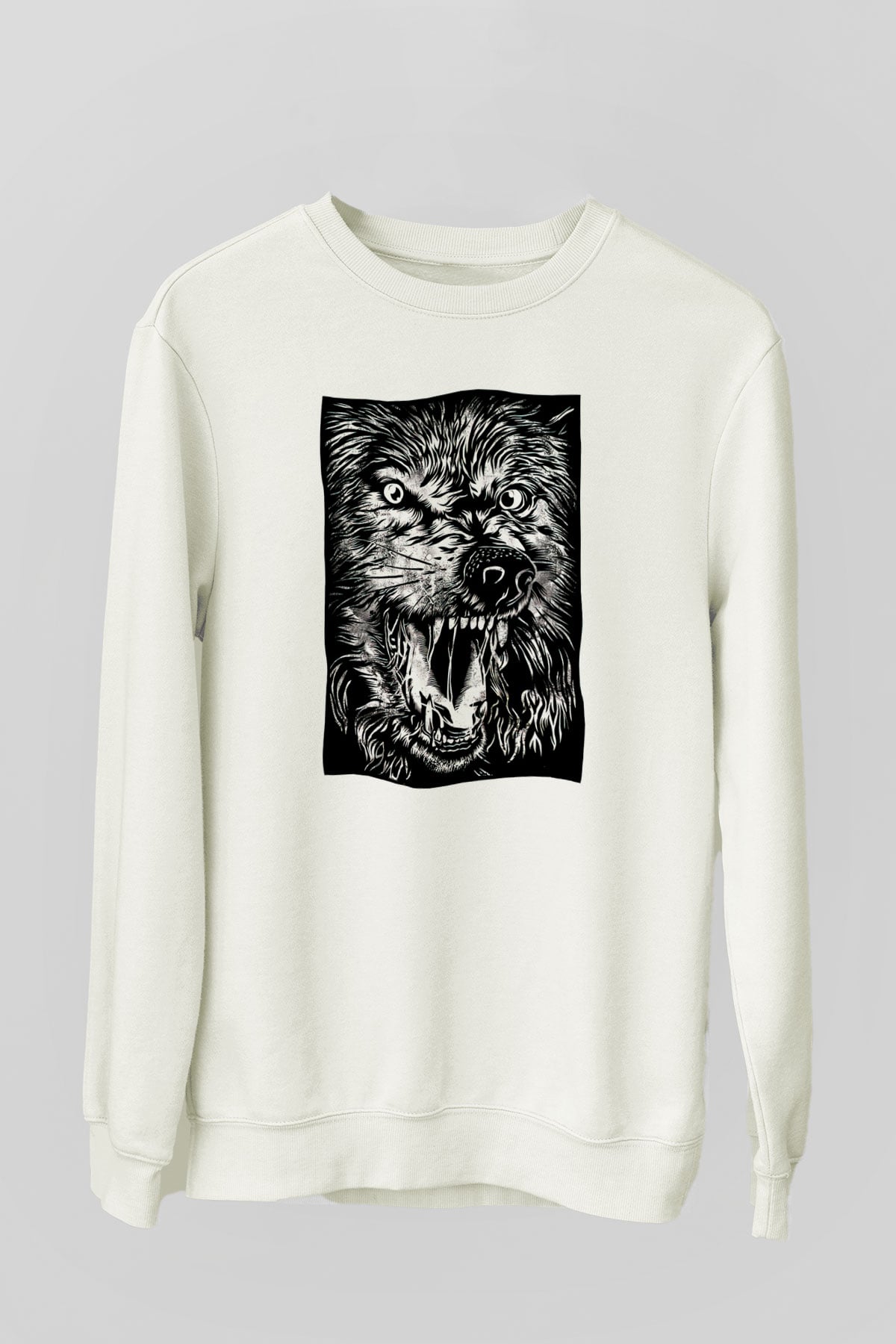 Tasarım Sweatshirt TSR276