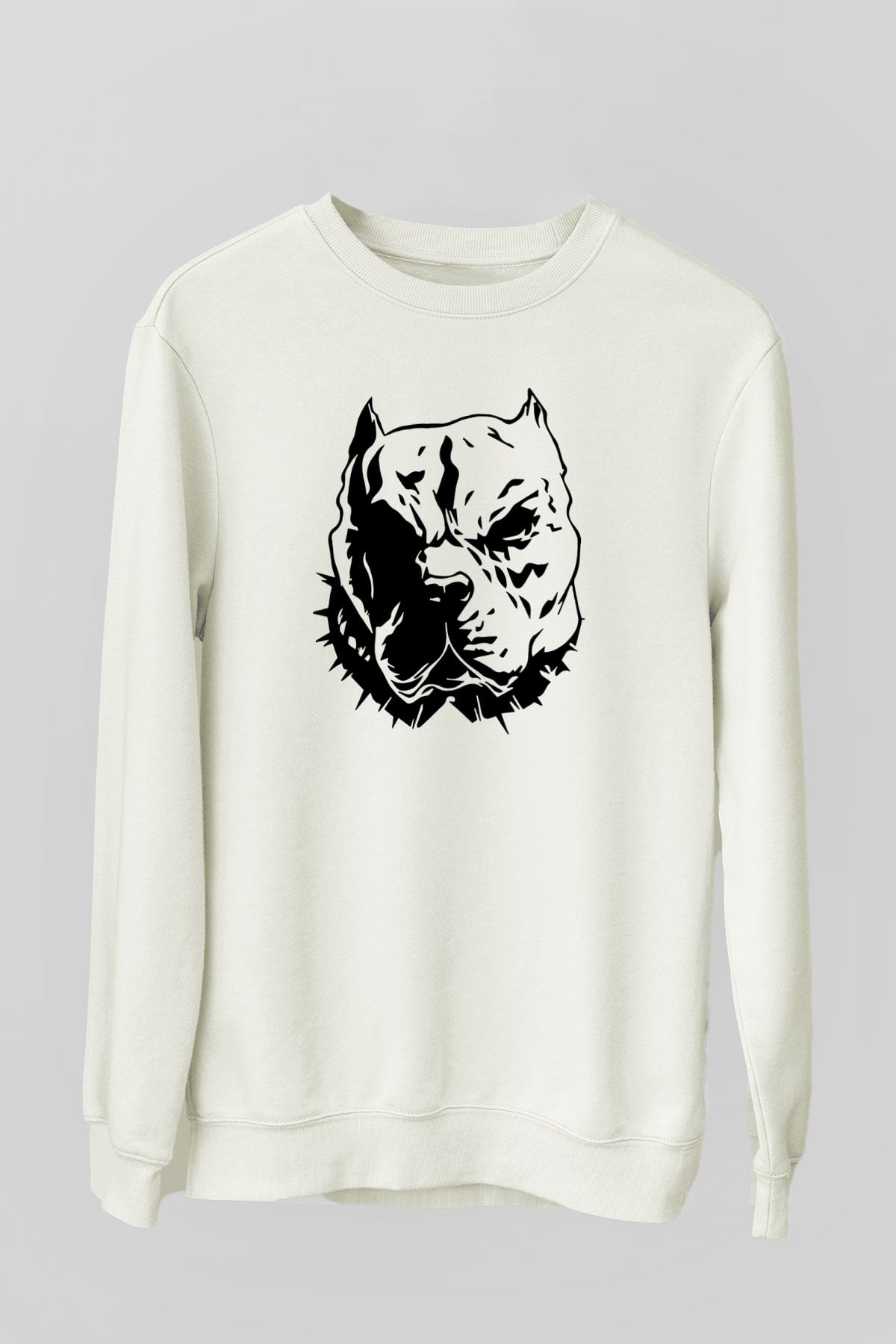 Tasarım Sweatshirt TSR82