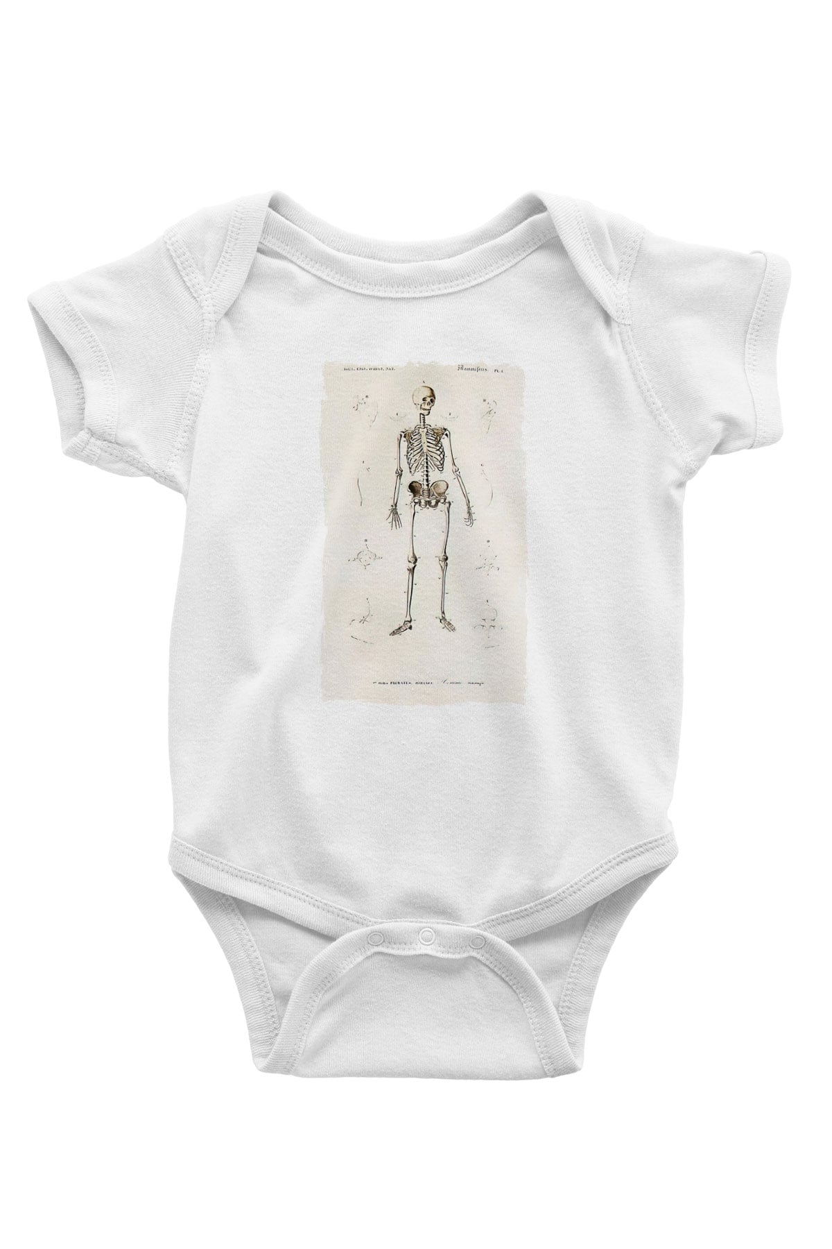 Tıp Bayramı Baskılı Beyaz Unisex Bebek Body - Zıbın