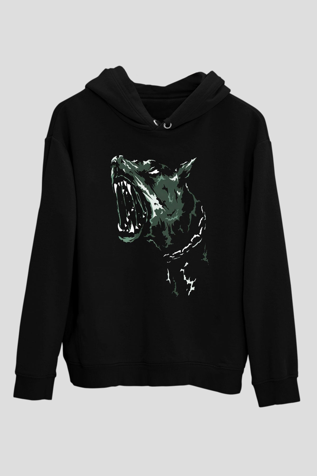 Unisex Hoodie TSR15
