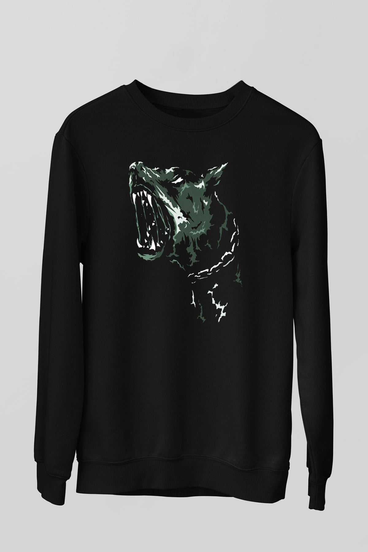 Unisex Sweatshirt TSR15