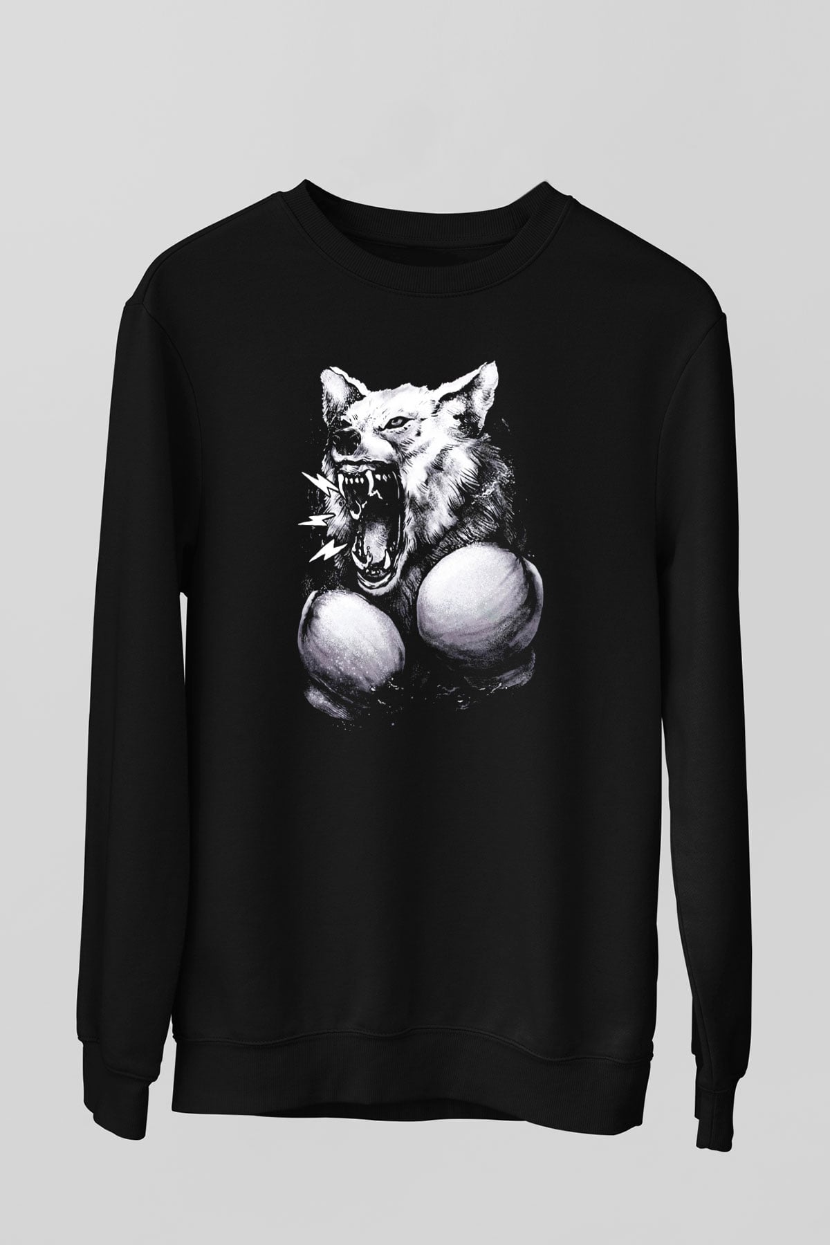 Unisex Sweatshirt TSR21