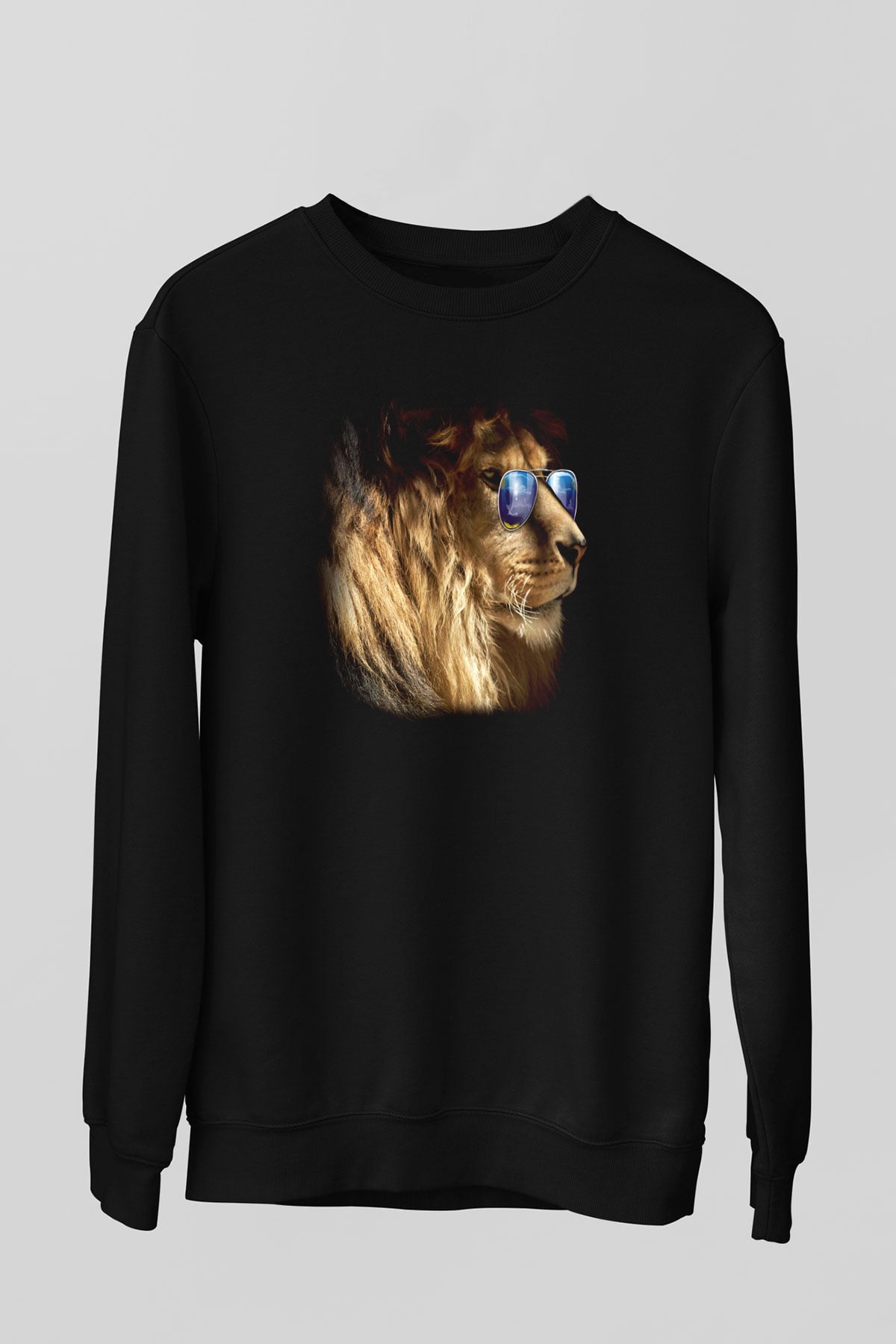 Unisex Sweatshirt TSR246