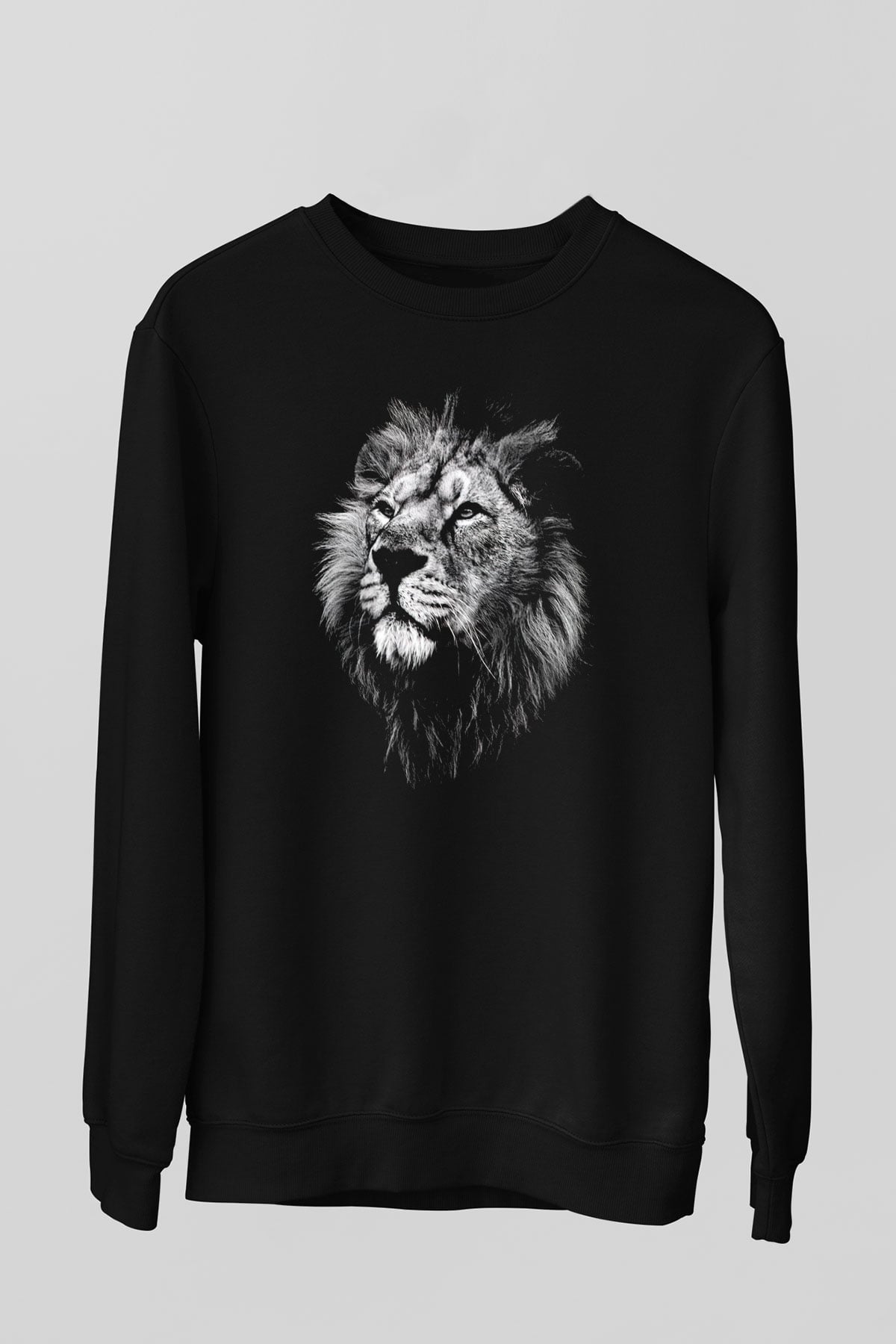 Unisex Sweatshirt TSR251