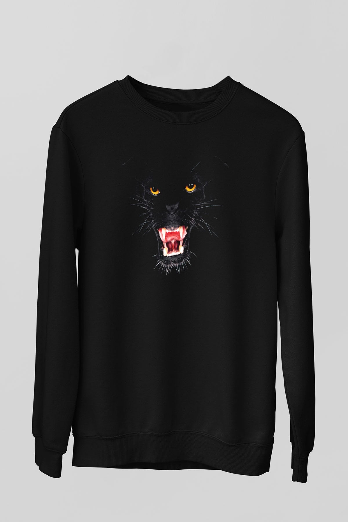 Unisex Sweatshirt TSR270