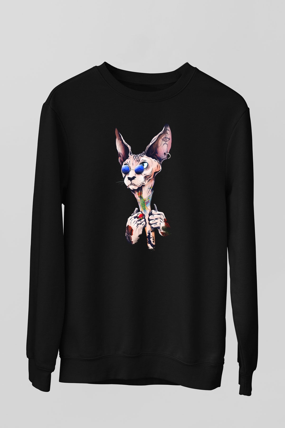 Unisex Sweatshirt TSR34