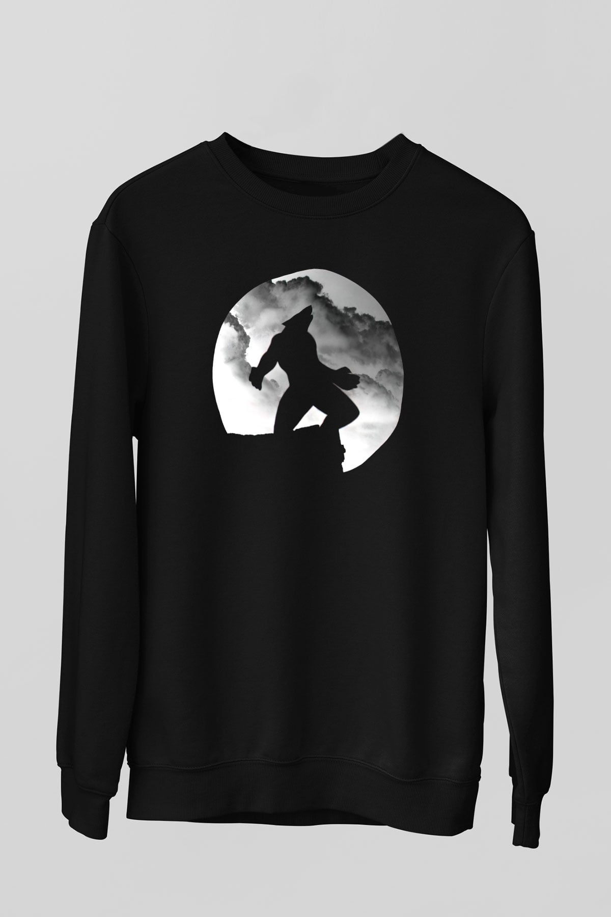 Unisex Sweatshirt TSR97