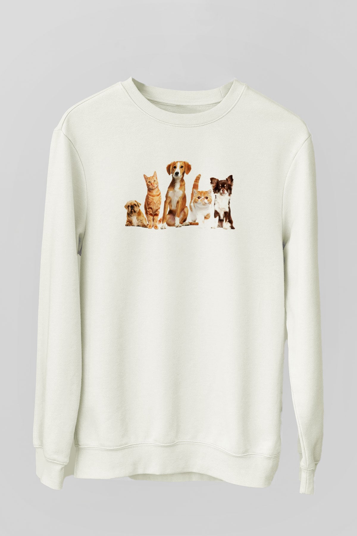 Veteriner Beyaz Unisex Sweatshirt