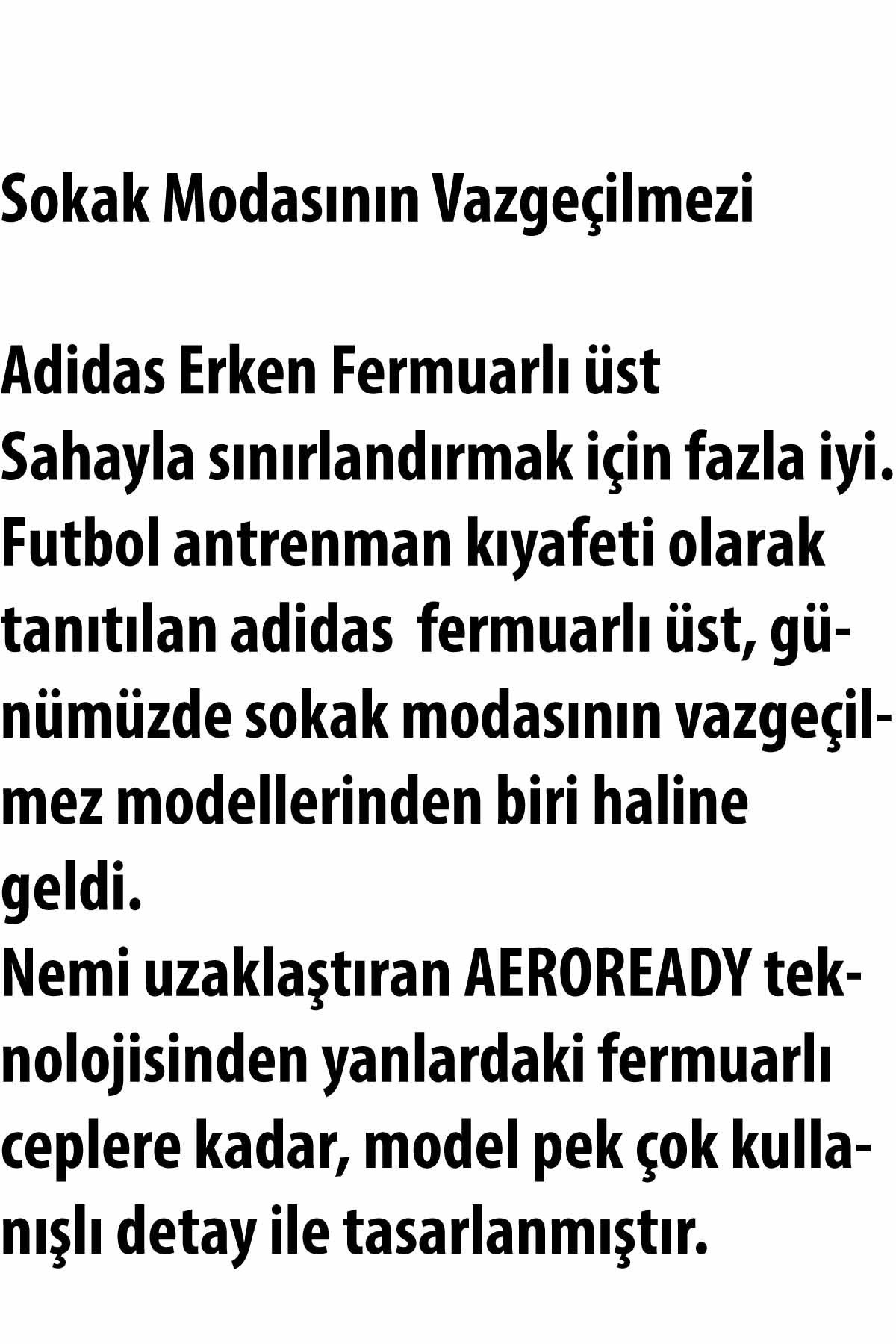 ADIDASSweatshirtAdidas Sweatshirt Erkek Sweatshirt GMR7306GRI