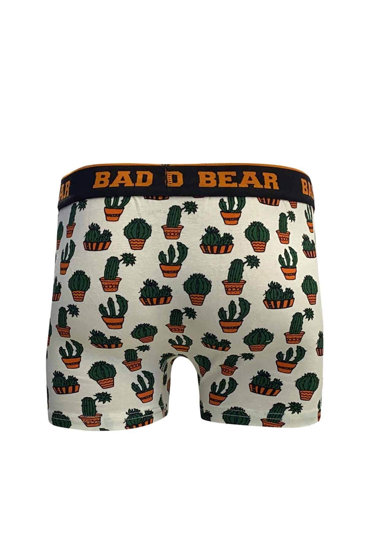 BAD BEARBoxerBad Bear Cactus Boxer Erkek Boxer 21.01.03.003OFF-WHITE