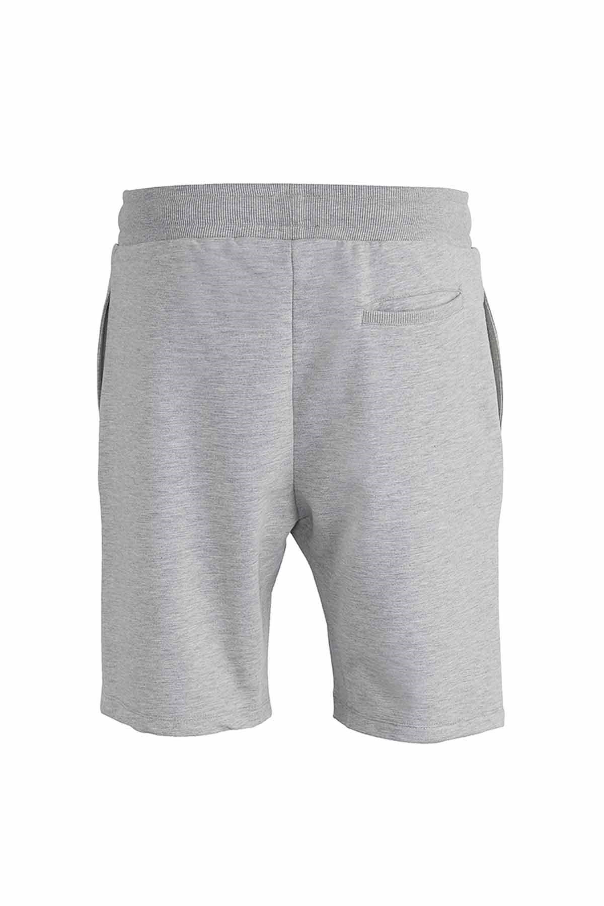 BAD BEARŞortBad Bear Holmer Erkek Şort 21.01.18.003GRAYMELANG