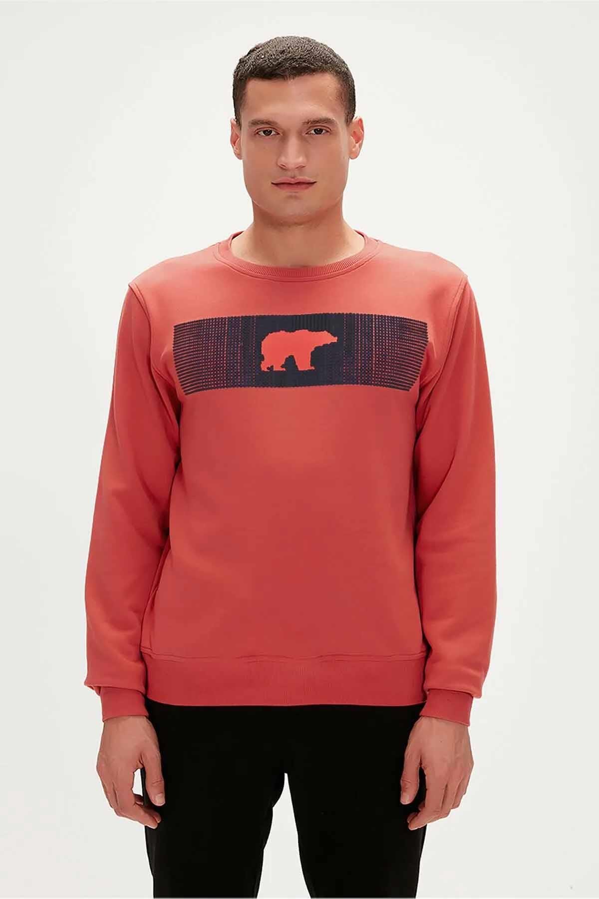 BAD BEARSweatshirtBad Bear Fancy Crewneck Erkek Sweatshirt 19.02.12.007GINGER