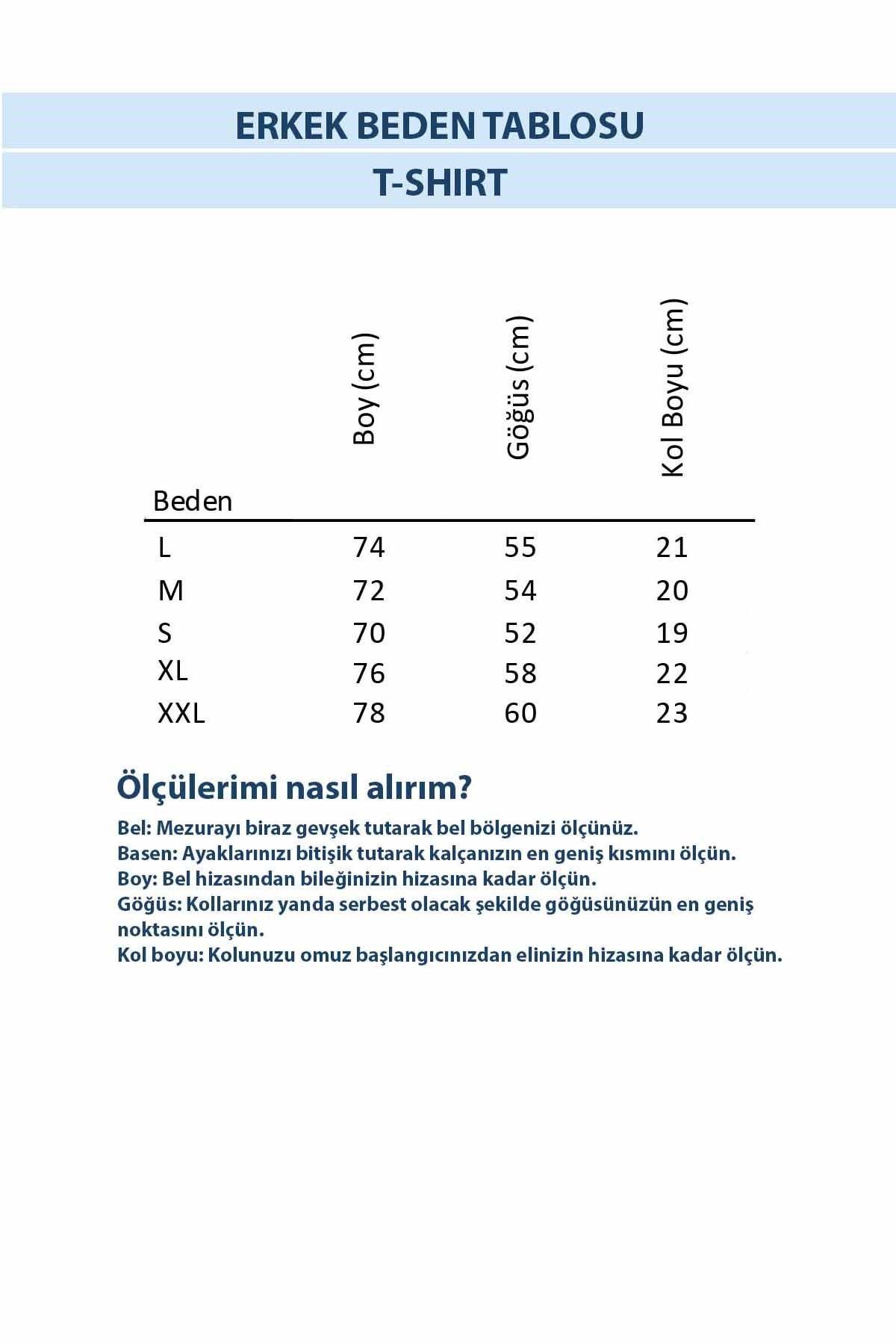 BAD BEARTişörtBad Bear Pure Polo Erkek Tişört 21.01.07.043CRIMSONRED