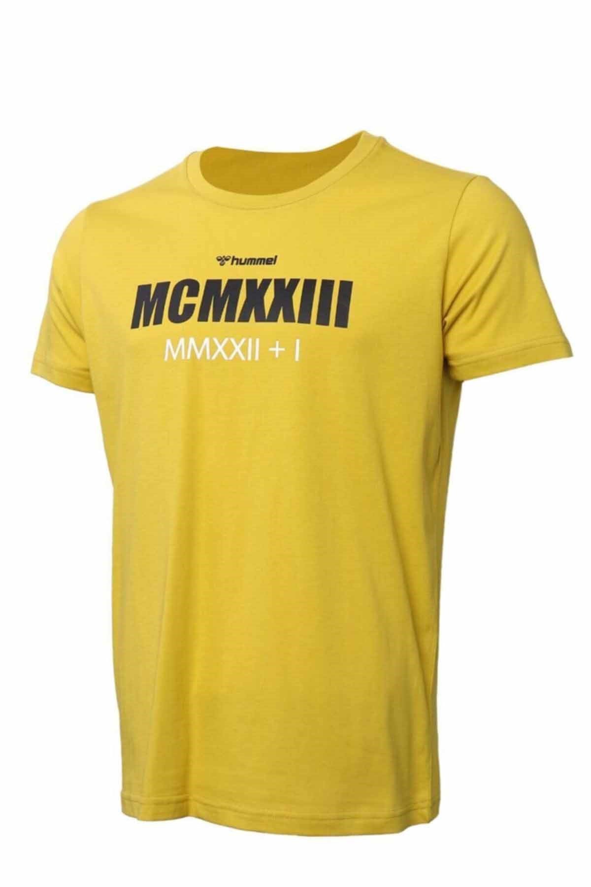 HUMMELTişörtHummel Naesten T-Shirt Erkek Tişört 911523-2119CHATEAU GR