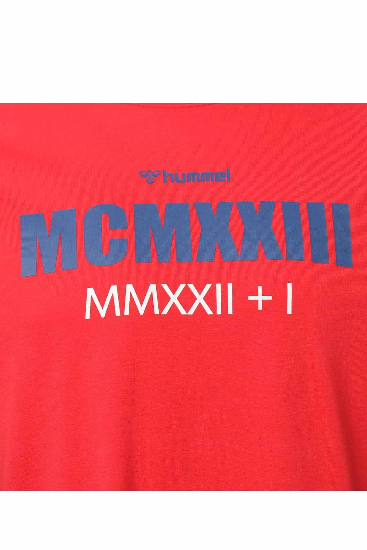 HUMMELTişörtHummel Naesten T-Shirt Erkek Tişört 911523-1301CRIMSON