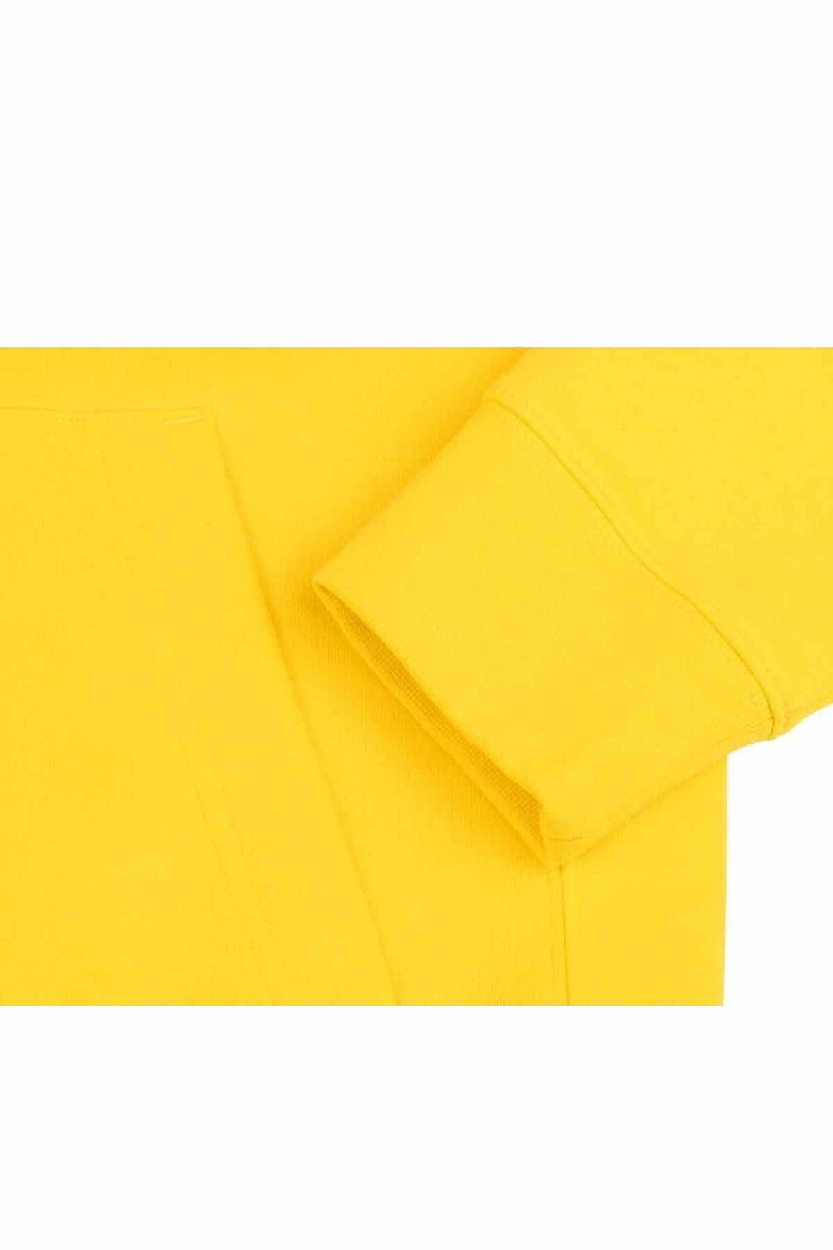 NIKESweatshirtNike M Flc Park20 Po Hoodie Erkek Sweatshirt CW6894-719-Sarı