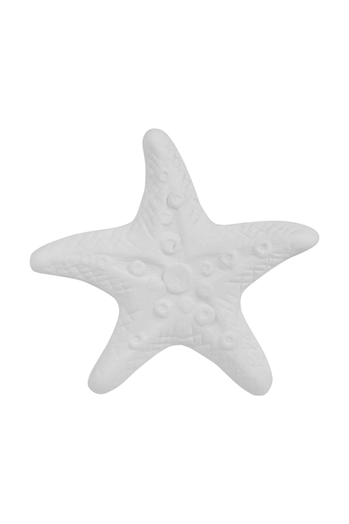 Starfish M1 Plaque Ceramic Bisque