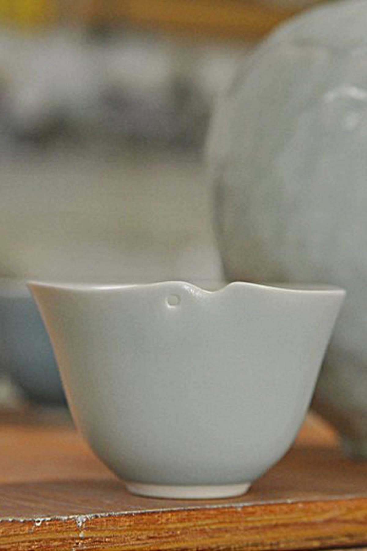 PORCELAINE PSL TRES BLANCHE ET TRES FINE PORCELAIN 1250 - 1300°C
