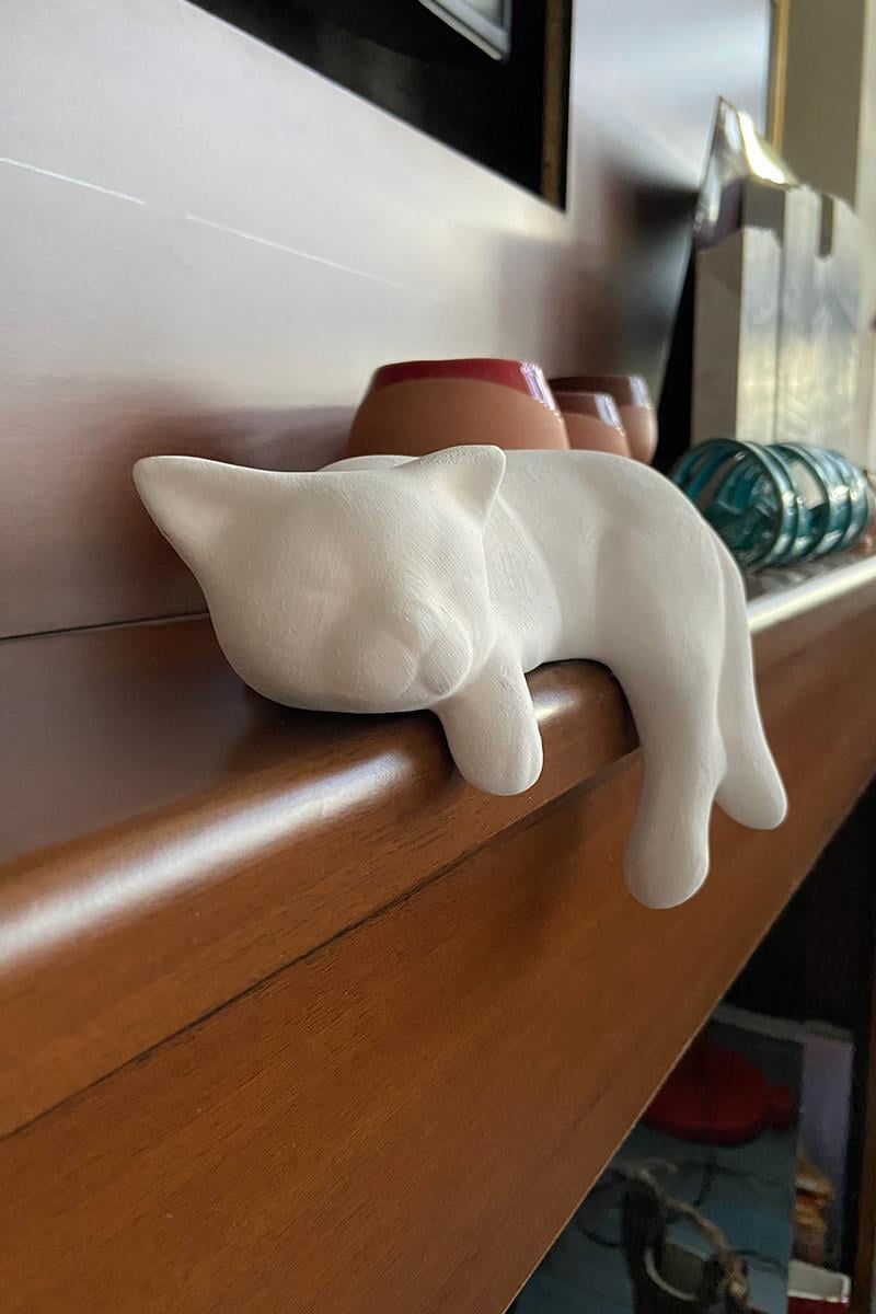 Uyuyan Kedi - Seramik Bisküvi