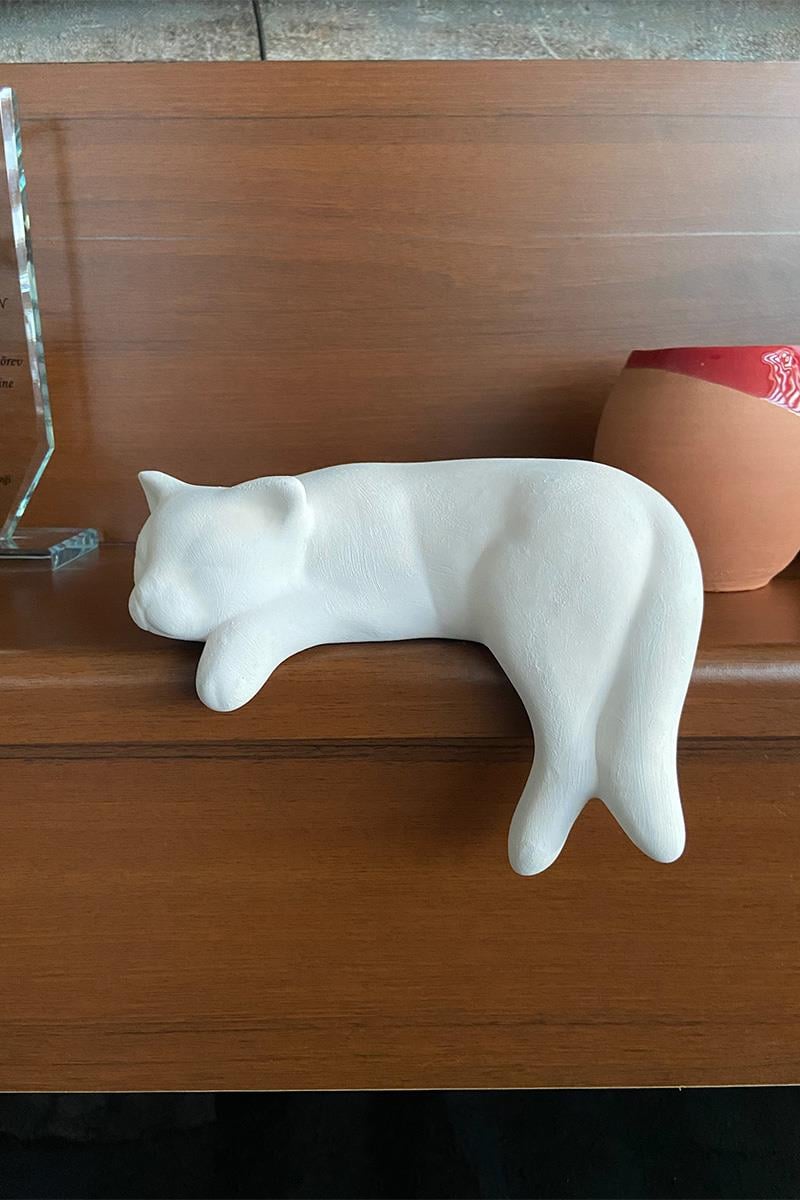 Uyuyan Kedi - Seramik Bisküvi