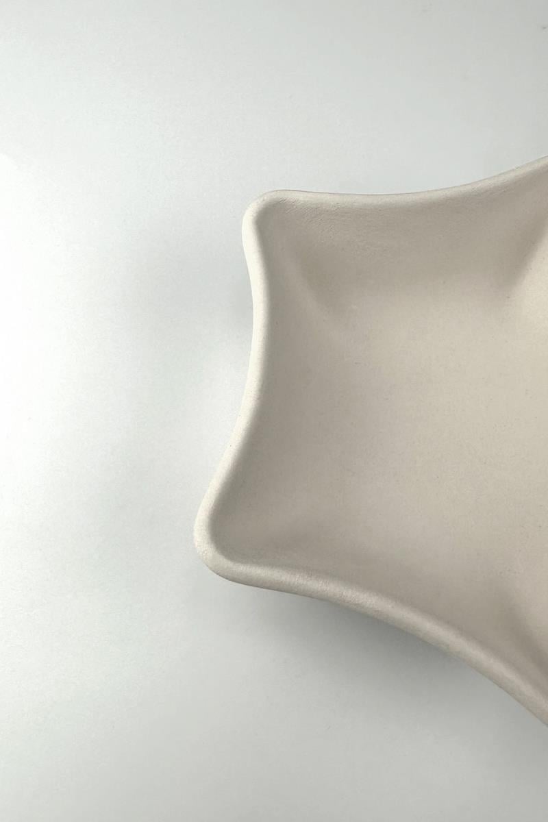 Star Appetizers Ceramic Bisque