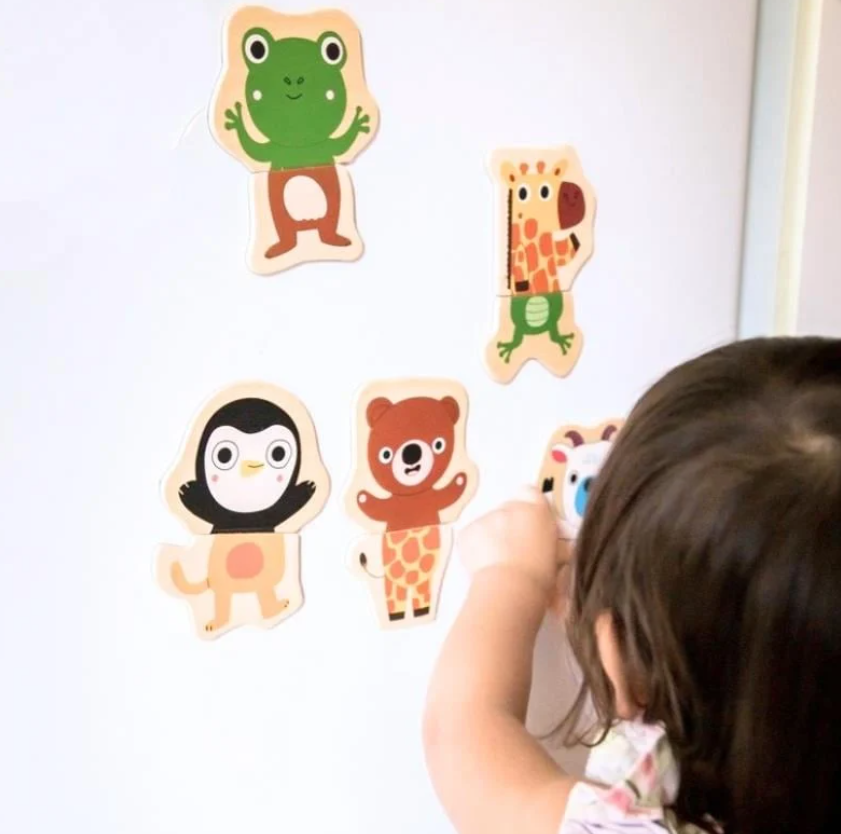 DjecoDjeco Mıknatıslı Oyunlar - CoucouDJ03118